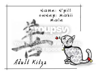 User Image