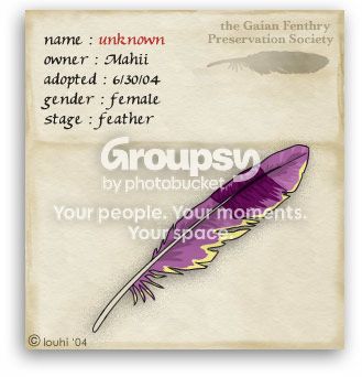 User Image
